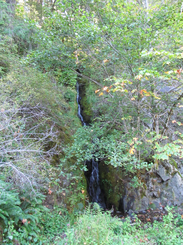 Alder Creek Falls - Oregon