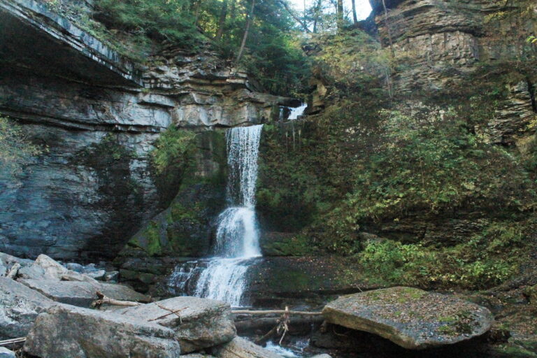 Cow Sheds Falls Cow Sheds Falls
