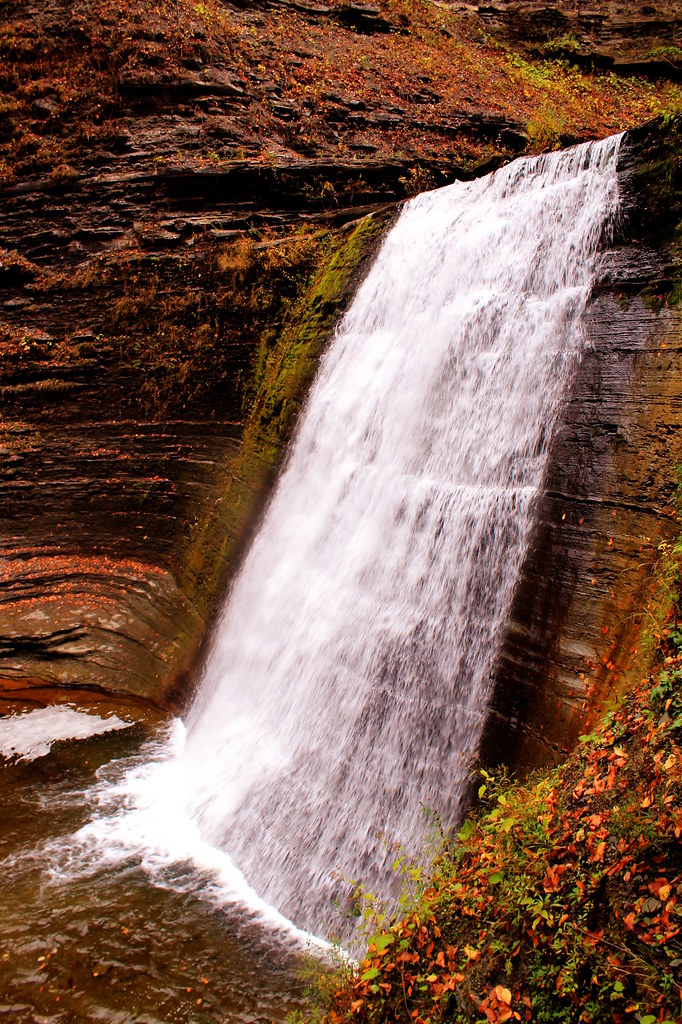 On the Edge of Lower Falls