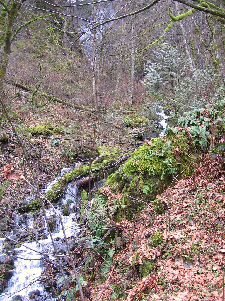 Shady Creek Falls