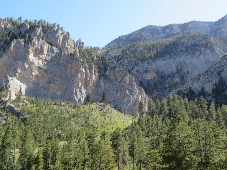Mary Jane Falls Trailhead, Spring Mountains National Recreation Area, Nevada