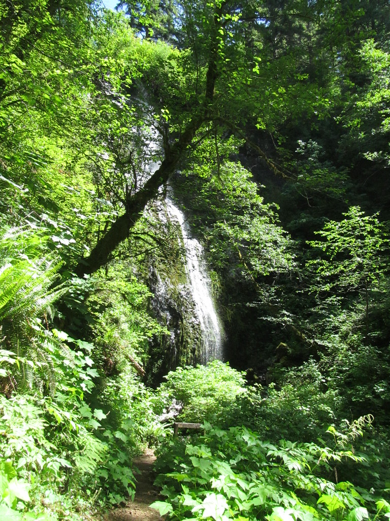 Niagara Falls - Oregon