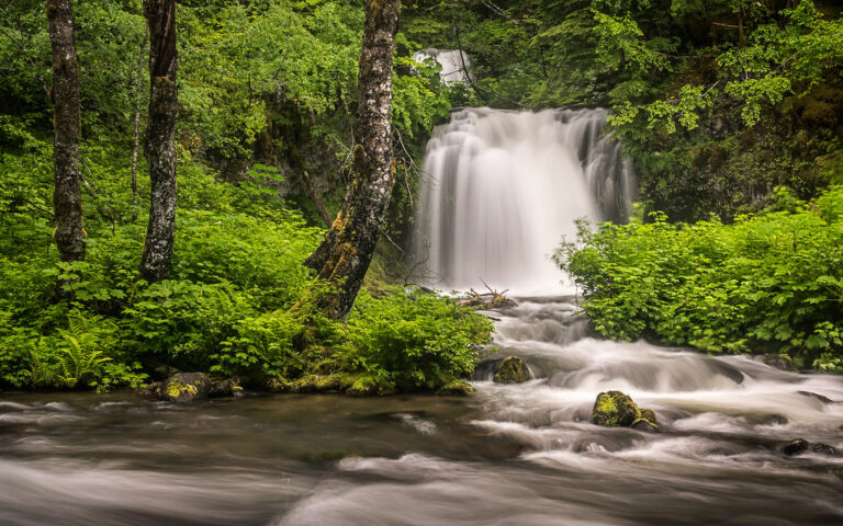 Twin Falls, WA