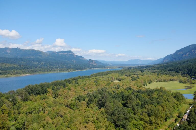 columbia river from triple falls
