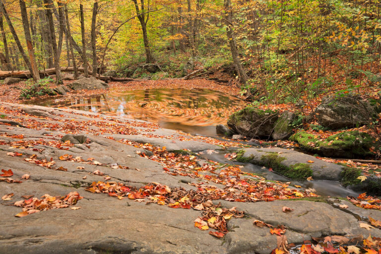 Dark Hollow Fall Whirlpool Dark Hollow Fall Whirlpool