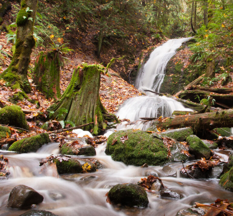 Coal Creek Falls