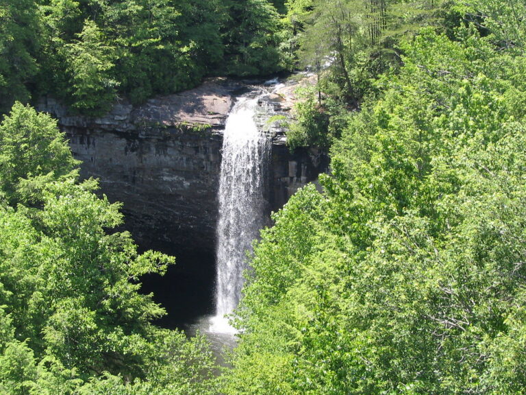 Foster Falls - as seen from above.