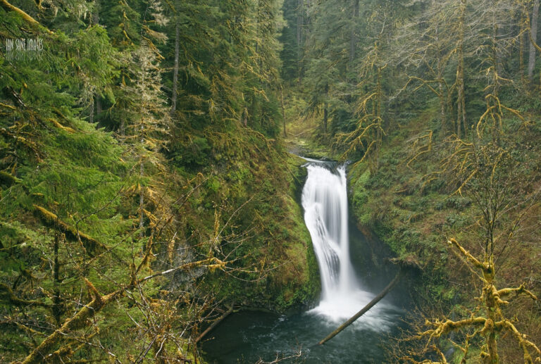 Lower Butte Creek Falls