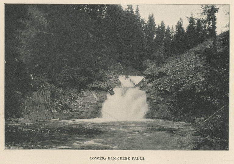 Lower Elk Creek Falls, 1907 - Elk River, Idaho