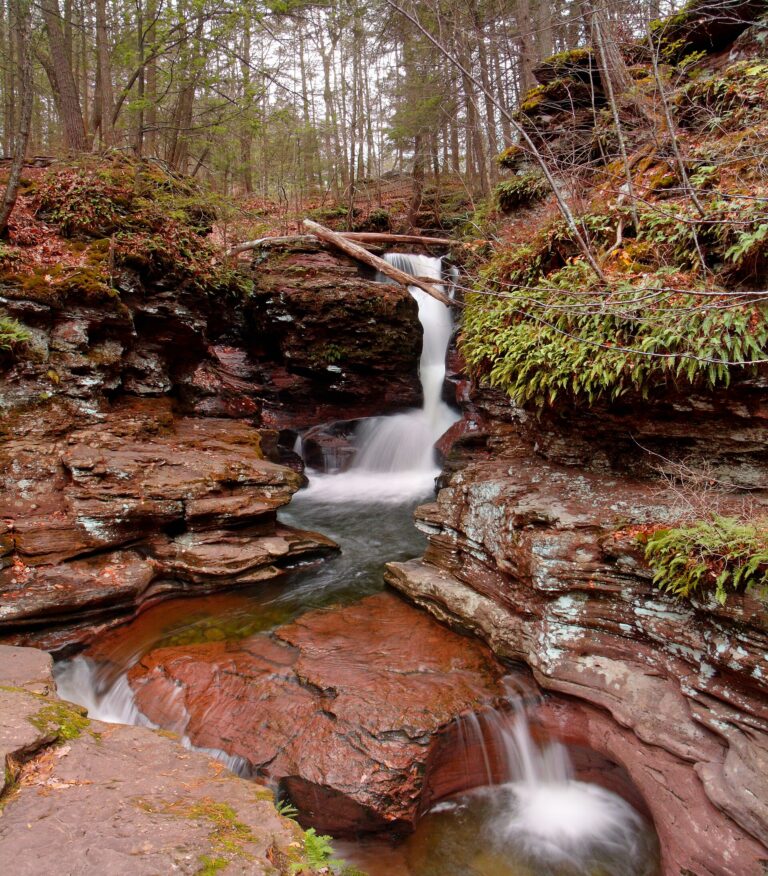 Adams Falls