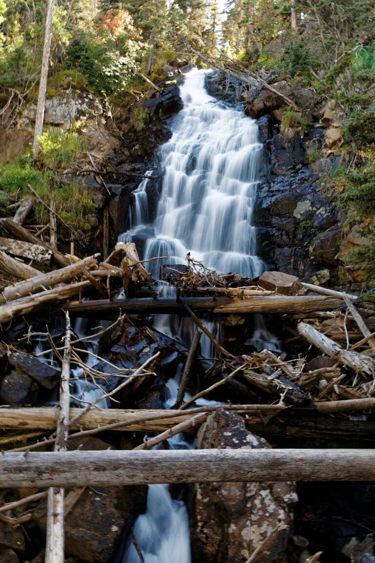 Fern Falls
