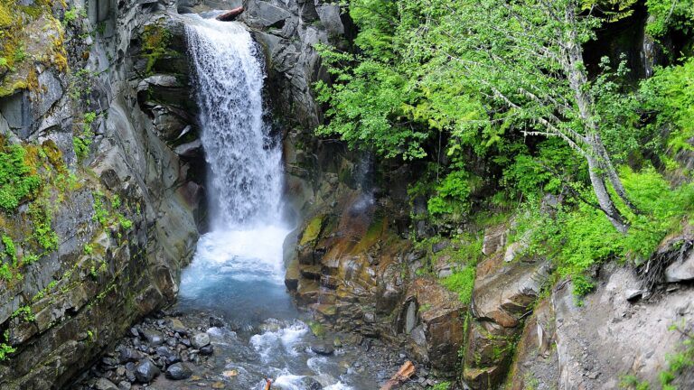 Christine Falls