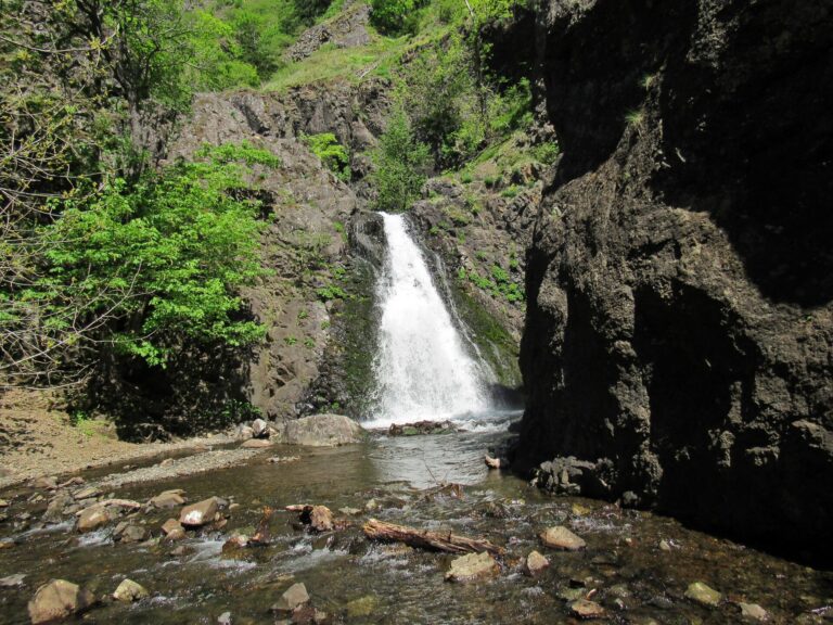 Dog Creek Falls