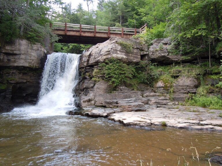 Hardenburgh Falls