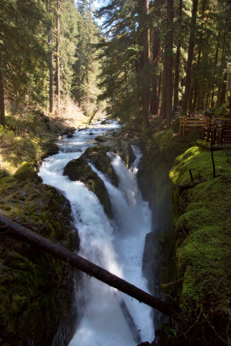Sol Duc Falls