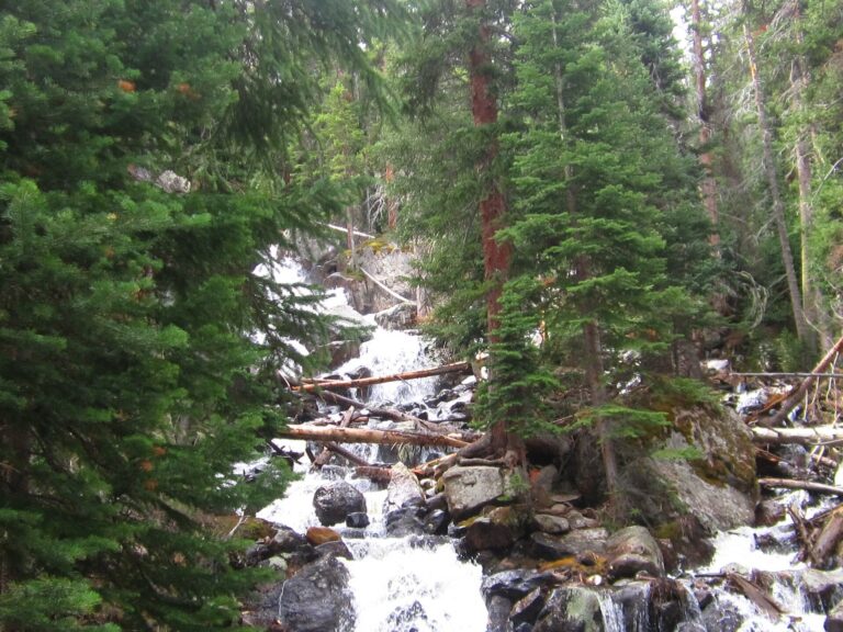 Copeland Falls