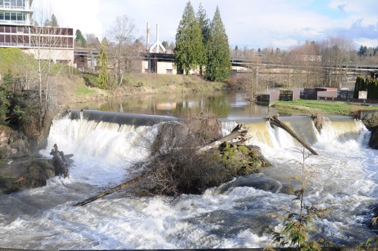 Upper Tumwater Falls