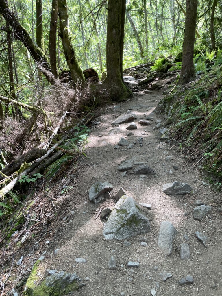 2023-05-20, Bridal Veil Falls Trail (Snohomish County, Washington), 022