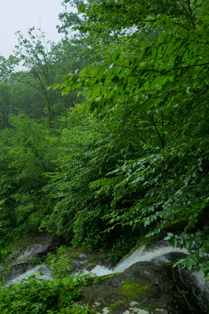 2023--22 June--Phil, Yuna, and Claire hike at Crabtree Falls, Virginia