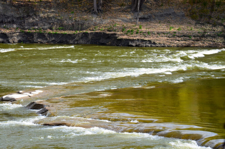Carver Rapids