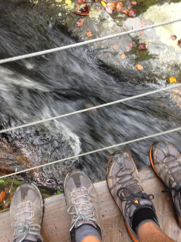 Abrams Falls Hike