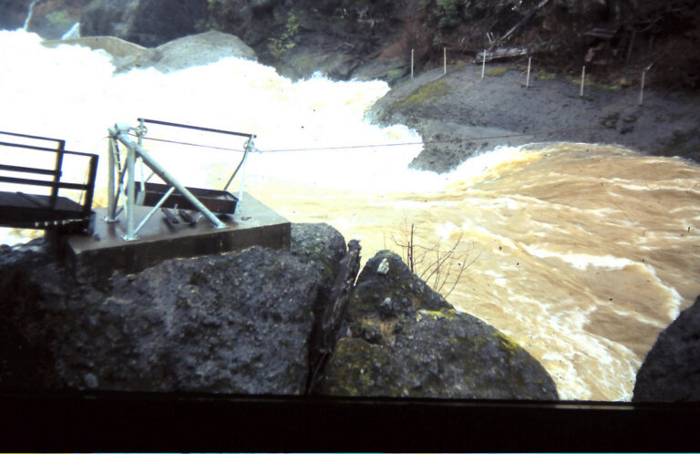 View of Siletz River Fish Ladder at Valsetz falls, Siuslaw National Forest