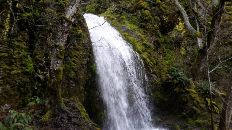 Lancaster Falls, Columbia Gorge, Oregon