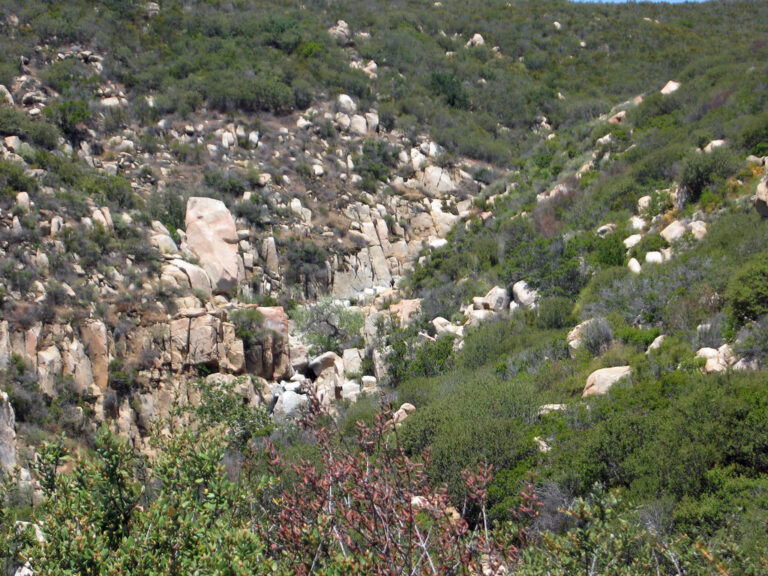 Ortega Falls