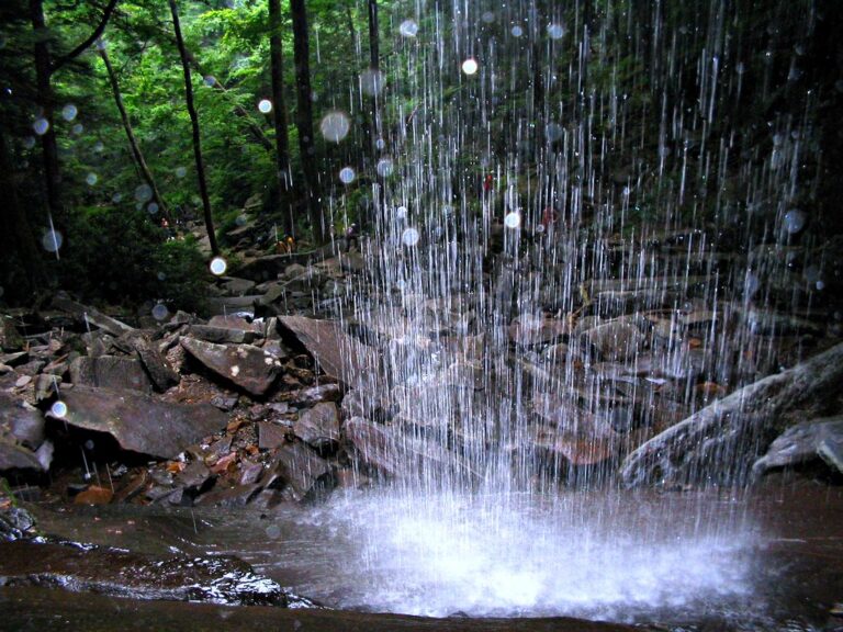 behind Rainbow Falls
