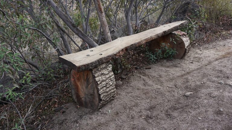 Numbered benches on the Cedar Creek Falls Trail (4)