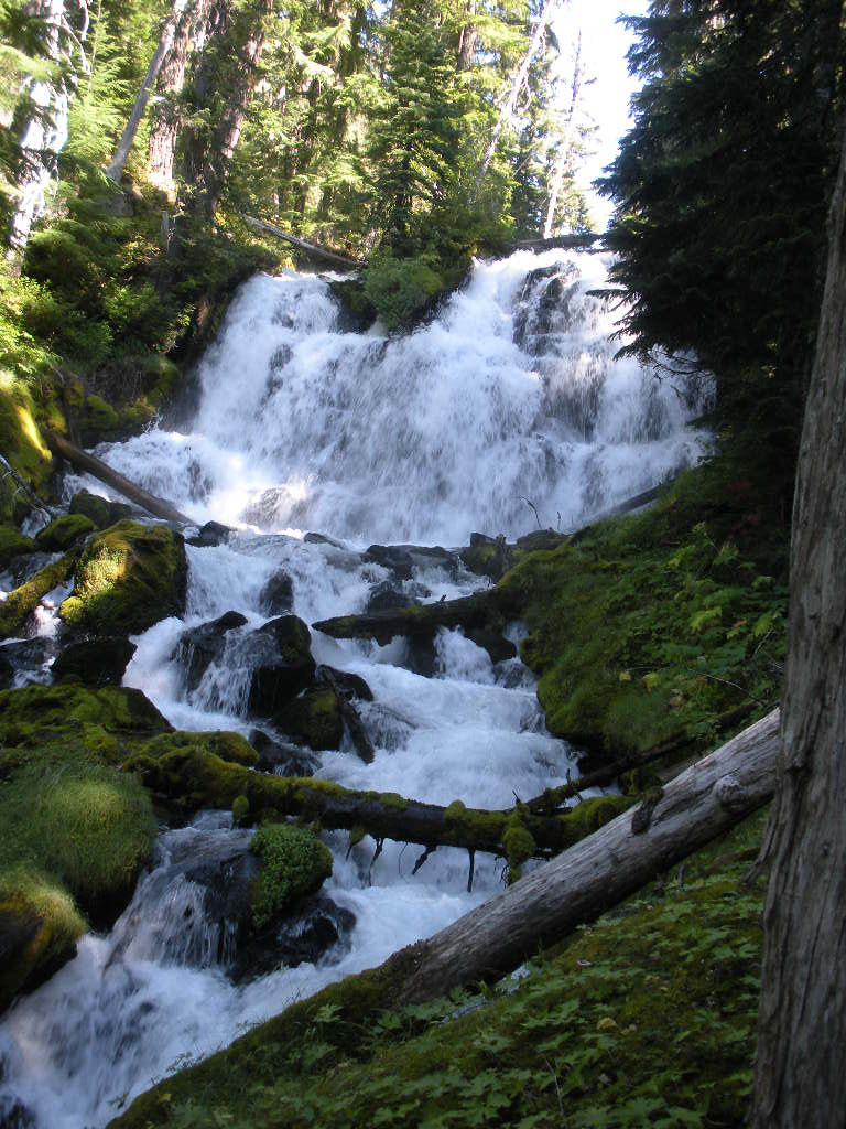 Indian Holes Falls, Willamette National Forest