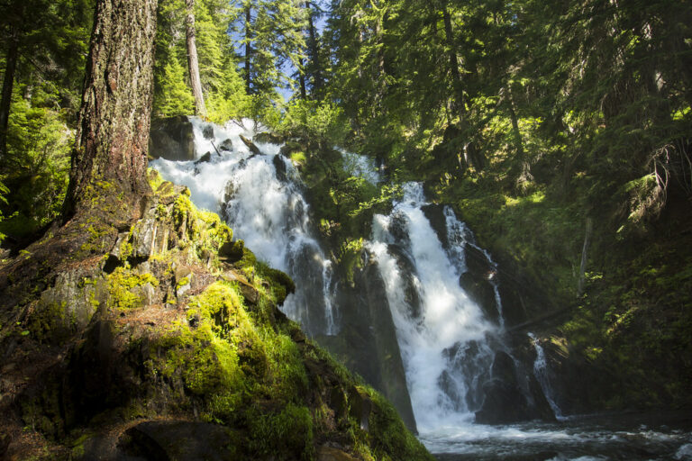 National Creek Falls, Oregon