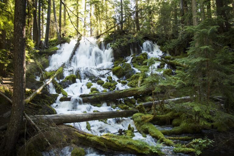 Clearwater Falls, Oregon