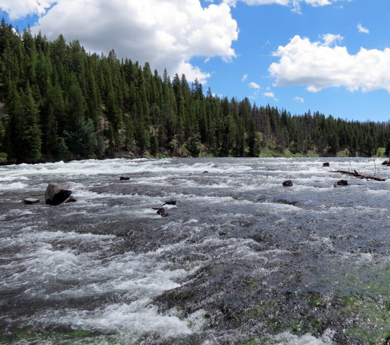 LeHardy Rapids