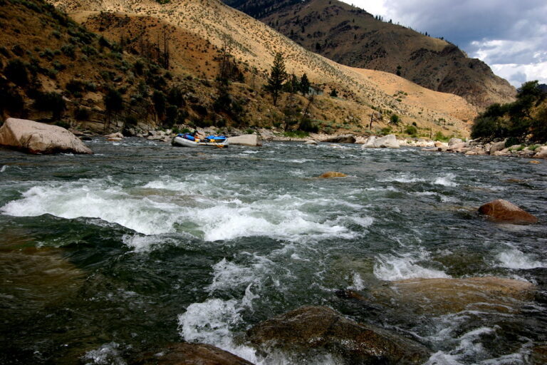 Haystack Rapid