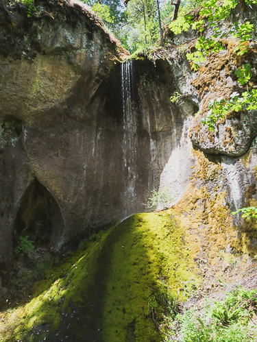 Cathedral Falls, Umpqua National Forest