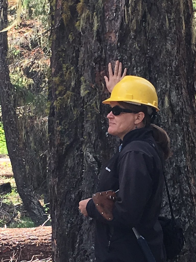 2018. Darci Dickinson at Salmon La Sac. Cle Elum Ranger District, Okanogan-Wenatchee National Forest, Washington. Regional Office Forest Health Protec 2018. Darci Dickinson at Salmon La Sac. Cle Elum Ranger District, Okanogan-Wenatchee National Forest, Washington. Regional Office Forest Health Protec