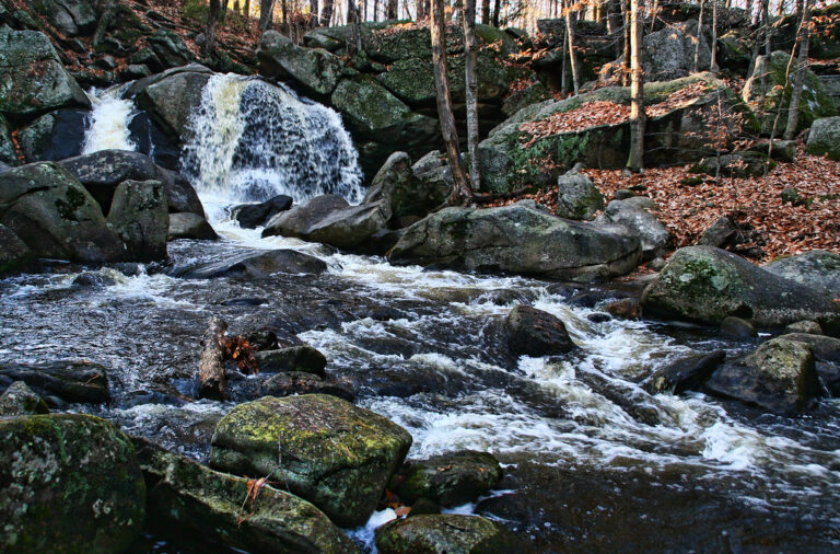 Trap Falls Trap Falls