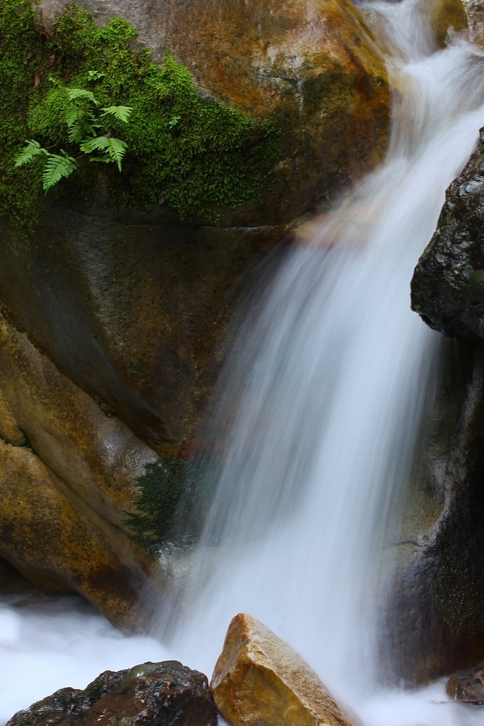 Fern Falls Fern Falls