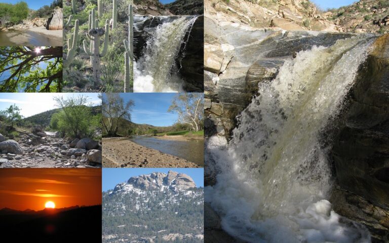 Upper Tanque Verde Falls Hike