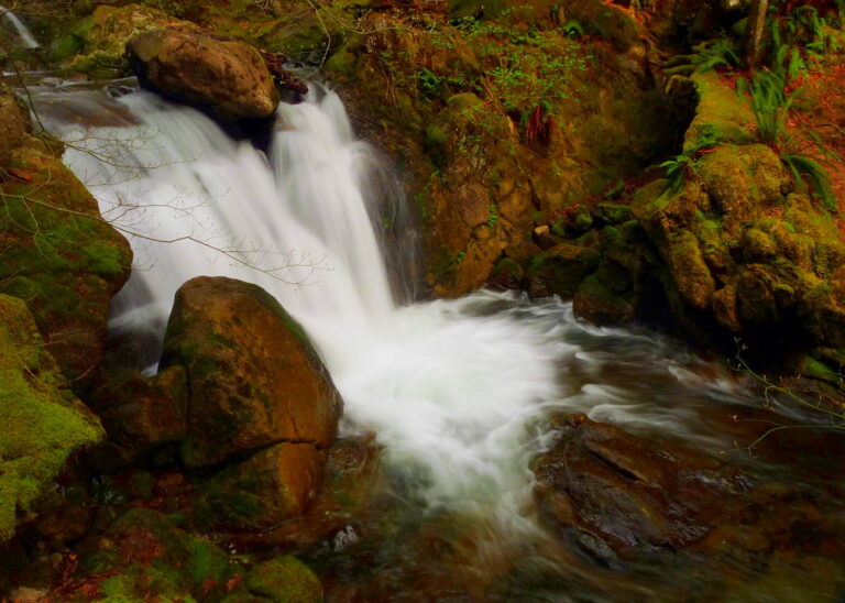 Below Rodney Falls