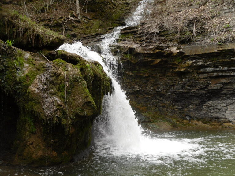 Creamery Falls - Van Hornesville, New York