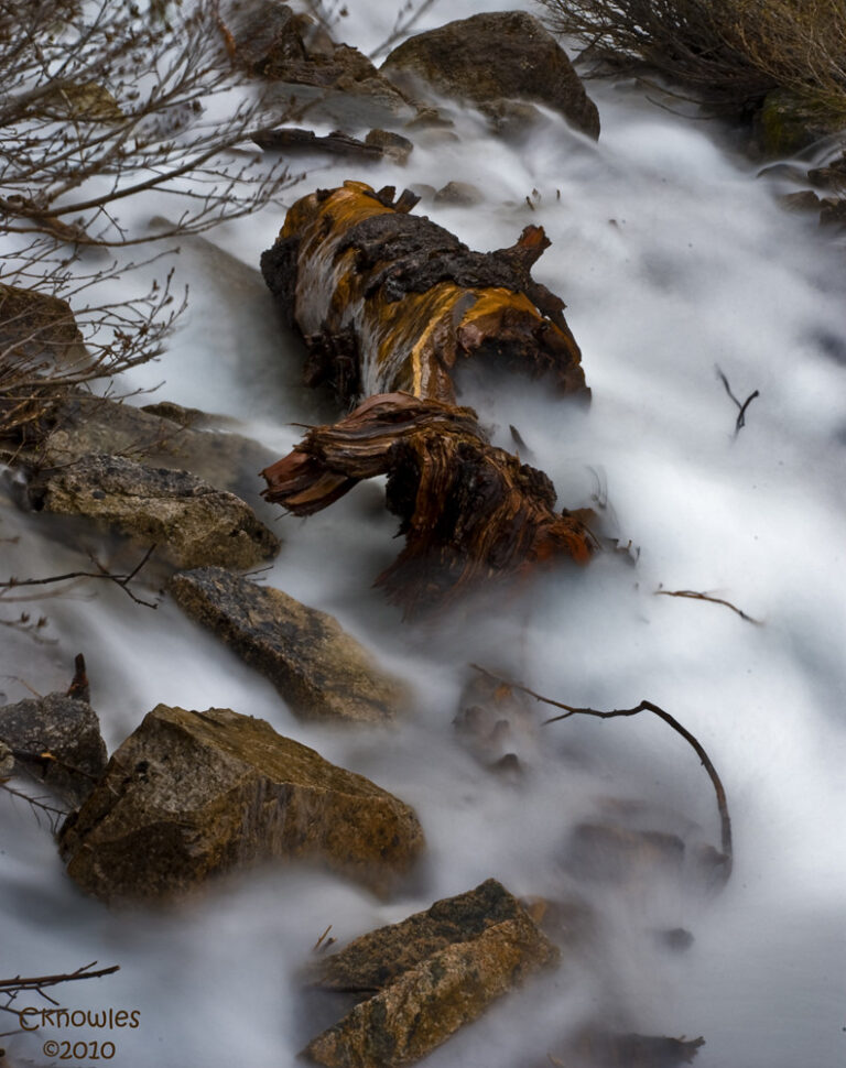 Goat Falls Log