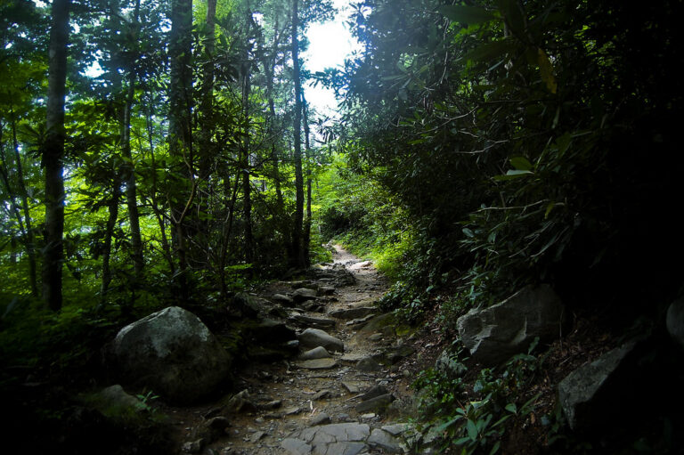 Rainbow Falls Trail