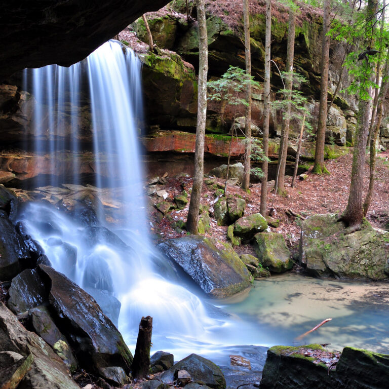 Turkeyfoot Falls Turkeyfoot Falls
