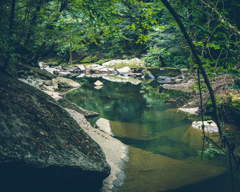 Greeter Falls, Savage Gulf, TN 9/5/21