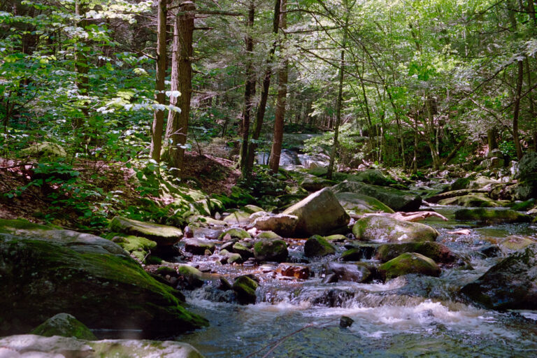 Enders Falls