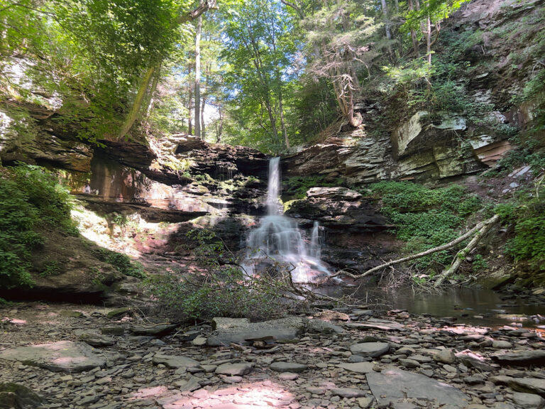 Sheldon Reynolds Falls