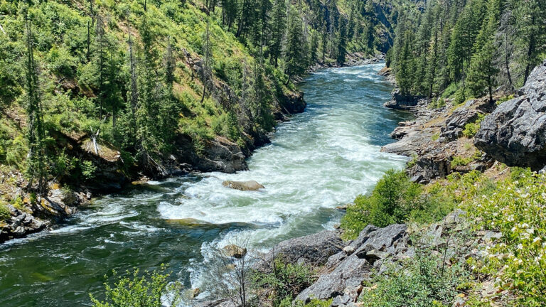 Double Drop Rapid