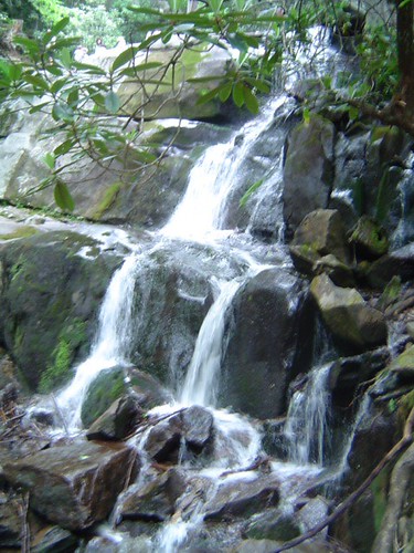 Laurel Falls